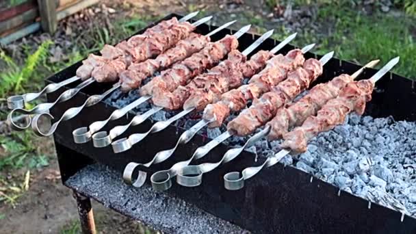 Proces Vaření Shish Kebabu Šťavnatého Masa Dřevěném Uhlí Grilu — Stock video