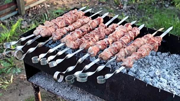 Proces Vaření Shish Kebabu Šťavnatého Masa Dřevěném Uhlí Grilu — Stock video