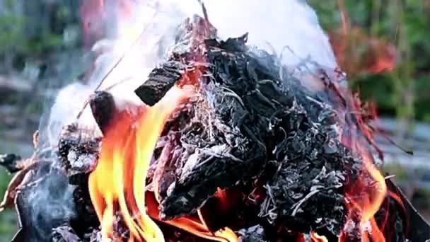Helle Feuerzungen Lodern Beim Verbrennen Von Holzschutt Und Trockenem Gras — Stockvideo
