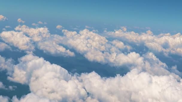 高密度の雲のベールの上の飛行機の玄関からの眺め — ストック動画