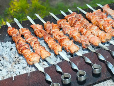 Açık ateşte çiğ et pişirmek ve mangalda arı kovanları yapmak.