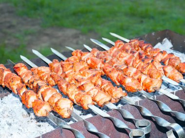 Açık ateşte çiğ et pişirmek ve mangalda arı kovanları yapmak.