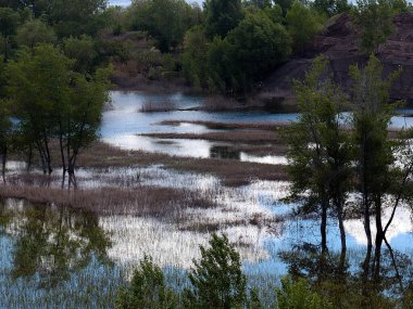Kıyı alanını çayır ve ağaçlarla dolduruyor.