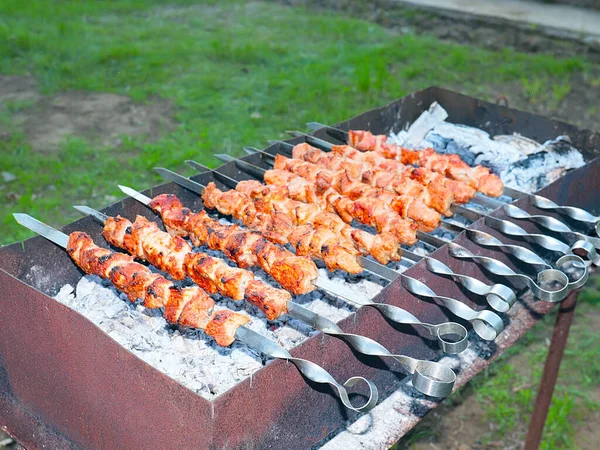 Cocinar Carne Cruda Sobre Fuego Abierto Colmenas Una Parrilla Carbón — Foto de Stock