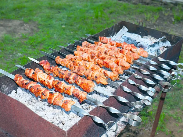 Cottura Carne Cruda Fuoco Aperto Alveari Una Griglia Carbone — Foto Stock