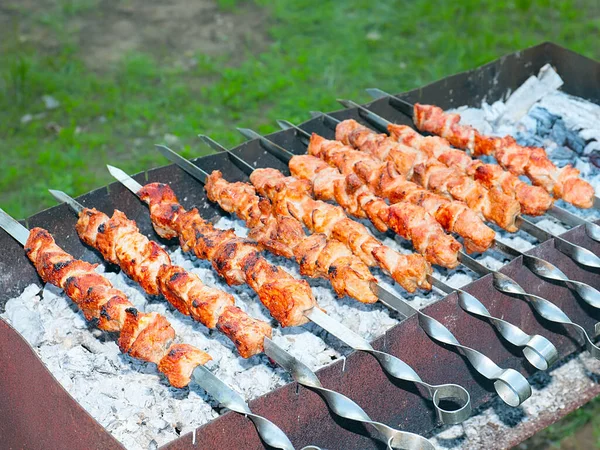 Cocinar Carne Cruda Sobre Fuego Abierto Colmenas Una Parrilla Carbón —  Fotos de Stock