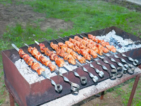 Cocinar Carne Cruda Sobre Fuego Abierto Colmenas Una Parrilla Carbón — Foto de Stock