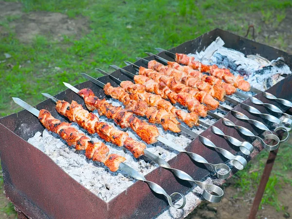 Cocinar Carne Cruda Sobre Fuego Abierto Colmenas Una Parrilla Carbón —  Fotos de Stock