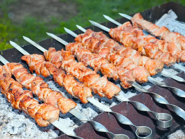 Rauw Vlees Koken Boven Een Open Vuur Bijenkorven Een Houtskoolgrill — Stockfoto