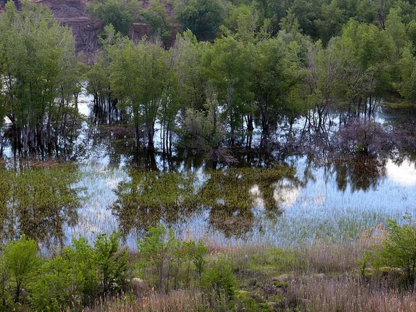 Kıyı alanını çayır ve ağaçlarla dolduruyor.