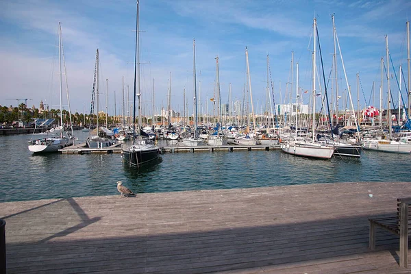 美丽优雅的游艇矗立在西班牙巴塞罗那港 — 图库照片