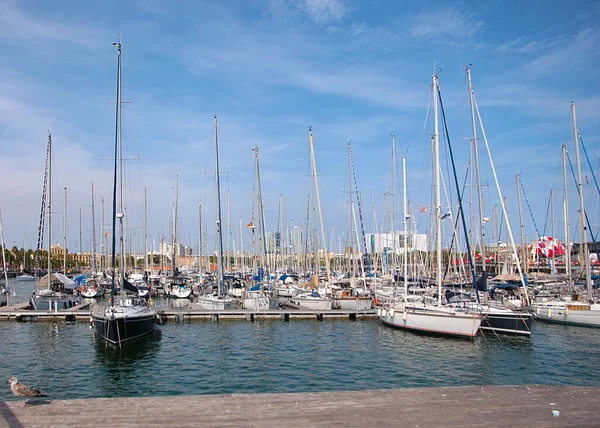 Vackra Graciösa Havsbåtar Står Hamnen Barcelona Spanien — Stockfoto