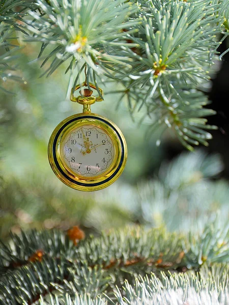 Orologio Tasca Vintage Pende Sull Albero Come Simbolo Del Prossimo — Foto Stock