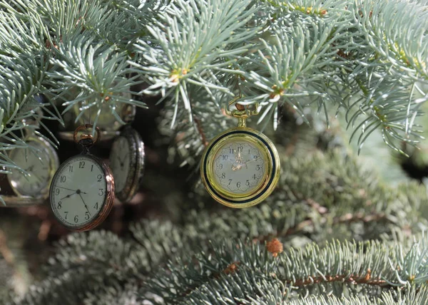 時間の変化の象徴としてクリスマス松の木の枝にヴィンテージポケットウォッチが掛けられています — ストック写真