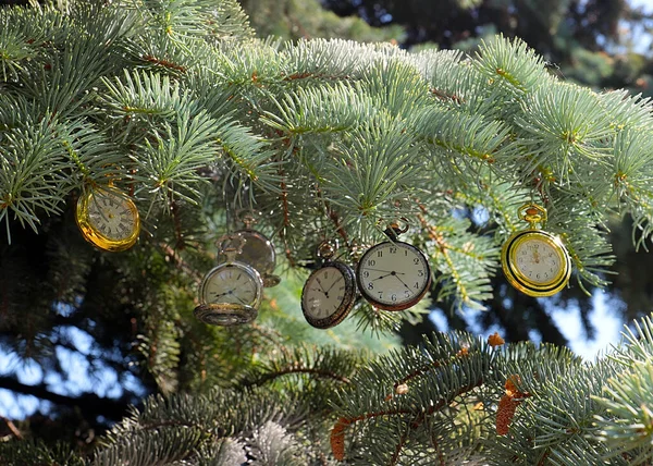 Vintage Pocket Watch Hangs Branches Christmas Pine Tree Symbol Change — Stock Photo, Image