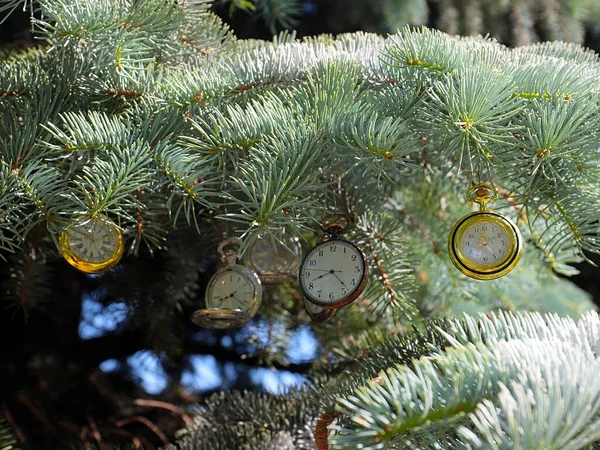 Vintage Zakhorloge Hangt Aan Takken Van Een Kerstboom Als Symbool — Stockfoto