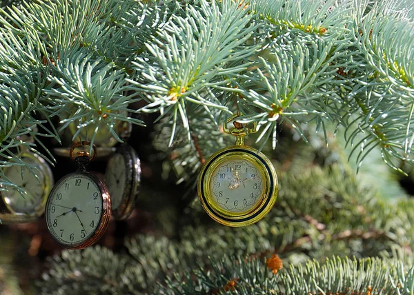 Винтажные Карманные Часы Висят Ветвях Рождественской Сосны Символ Смены Времени — стоковое фото