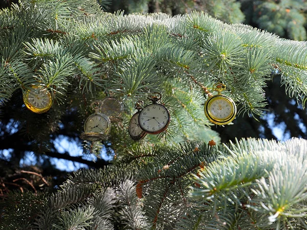 Вінтажний Кишеньковий Годинник Висить Гілках Ялинки Символ Зміни Часу — стокове фото