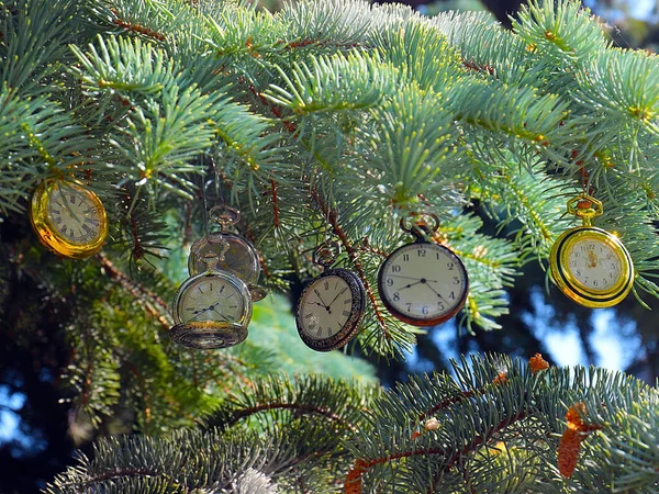 Vintage Pocket Watch Hangs Branches Christmas Pine Tree Symbol Change — Stock Photo, Image