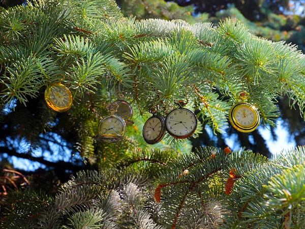 Montre Poche Vintage Accroché Sur Les Branches Sapin Noël Comme — Photo