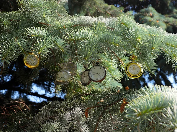 Montre Poche Vintage Accroché Sur Les Branches Sapin Noël Comme — Photo