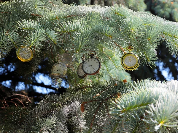 크리스마스 소나무의 나뭇가지에는 시간의 변화를 상징하는 빈티지 시계가 — 스톡 사진