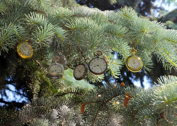 크리스마스 소나무의 나뭇가지에는 시간의 변화를 상징하는 빈티지 시계가 — 스톡 사진