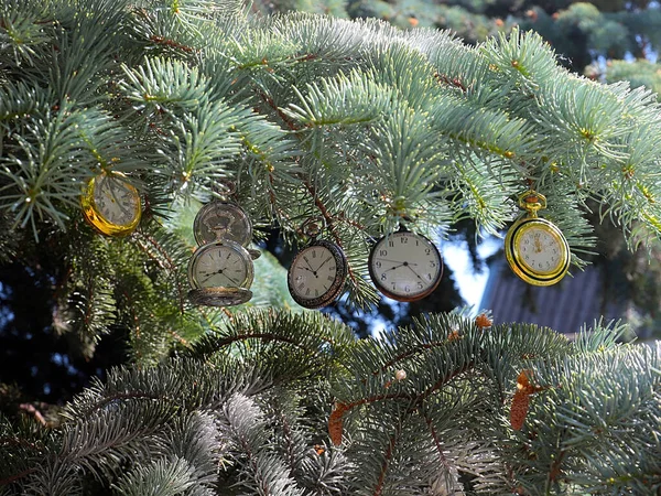 Reloj Bolsillo Vintage Cuelga Las Ramas Pino Navidad Como Símbolo — Foto de Stock