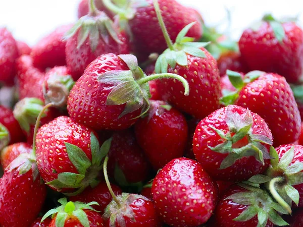 Hermosas Bayas Maduras Deliciosas Fresas Jardín Como Elemento Agricultura Jardín — Foto de Stock