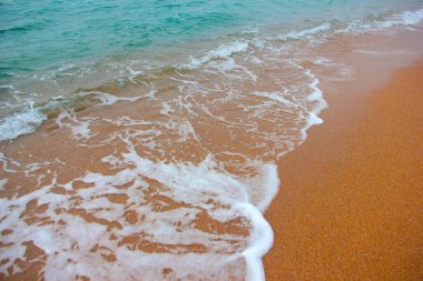 beautiful sandy beach and sea waves