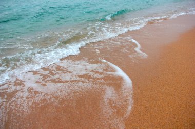 beautiful sandy beach and sea waves