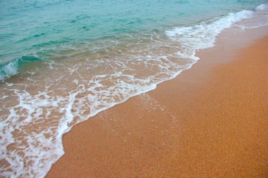beautiful sandy beach and sea waves