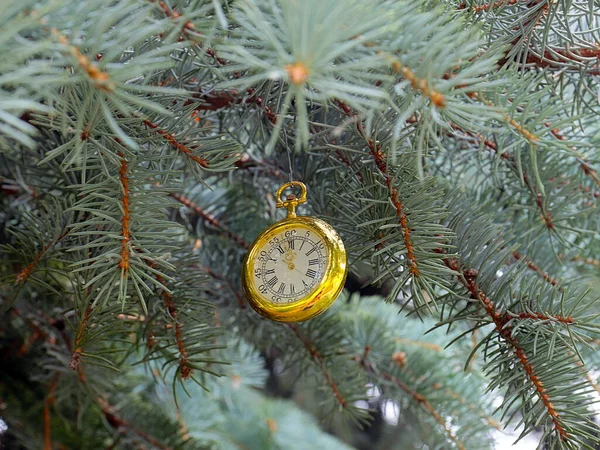 ヴィンテージポケットウォッチは新年のお祝いの松の木の枝に横たわる — ストック写真