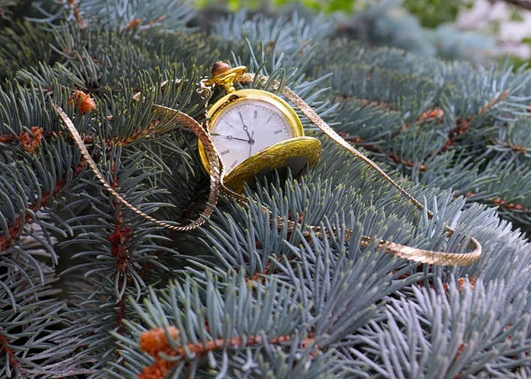 Antike Taschenuhr Mit Goldkette Auf Tannenzweigen — Stockfoto