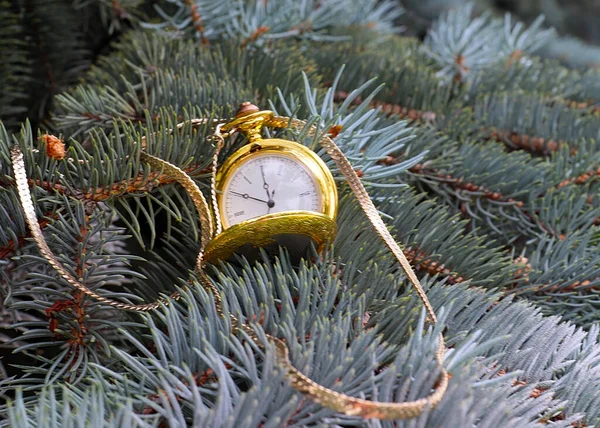 Antique Pocket Watch Gold Chain Branches Pine Holiday Tree — Stock fotografie