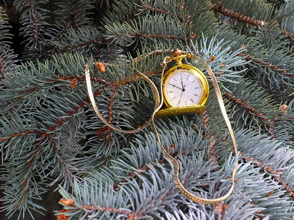 Antiek Zakhorloge Met Gouden Ketting Aan Takken Van Dennenboom — Stockfoto