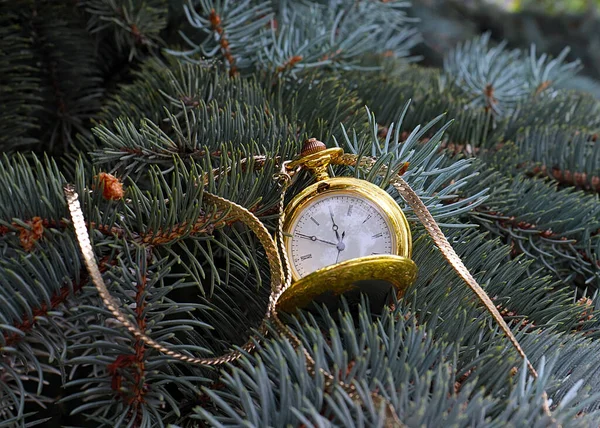 Antique Pocket Watch Gold Chain Branches Pine Holiday Tree — Stock fotografie