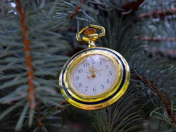 Vintage Pocket Watch Lie Branches New Year Festive Pine Tree — Stock Photo, Image