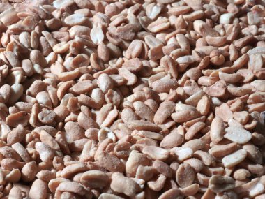 Hafif bira için iştah açıcı olarak kızarmış fıstık.