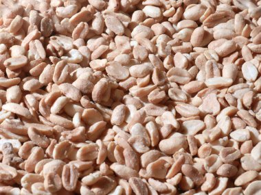 Hafif bira için iştah açıcı olarak kızarmış fıstık.