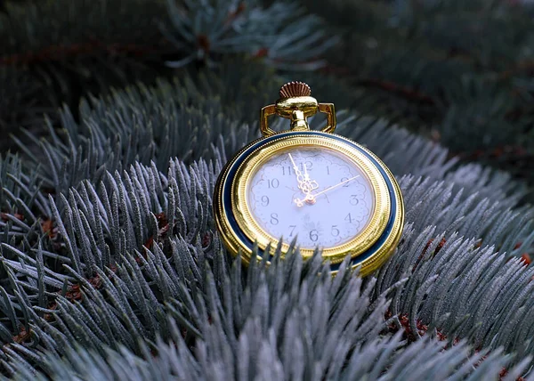 Vintage Orologio Antico Sui Rami Albero Natale — Foto Stock