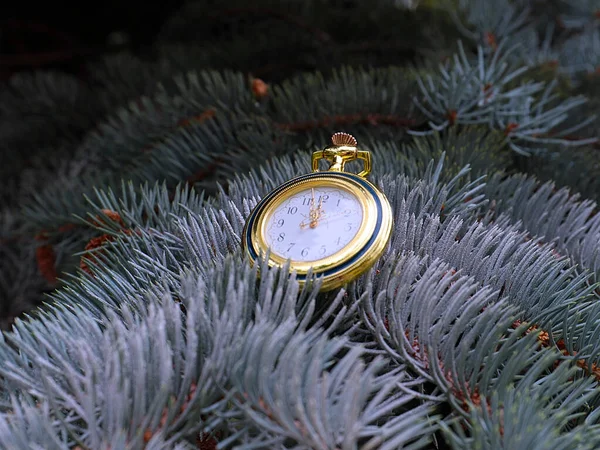 Vintage Orologio Antico Sui Rami Albero Natale — Foto Stock