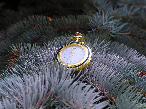 Vintage Orologio Antico Sui Rami Albero Natale — Foto Stock