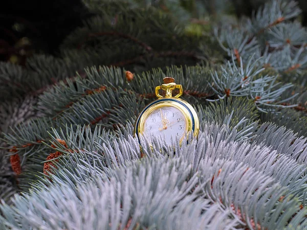 Oldtimer Antike Uhr Auf Ästen Weihnachtsbaum — Stockfoto