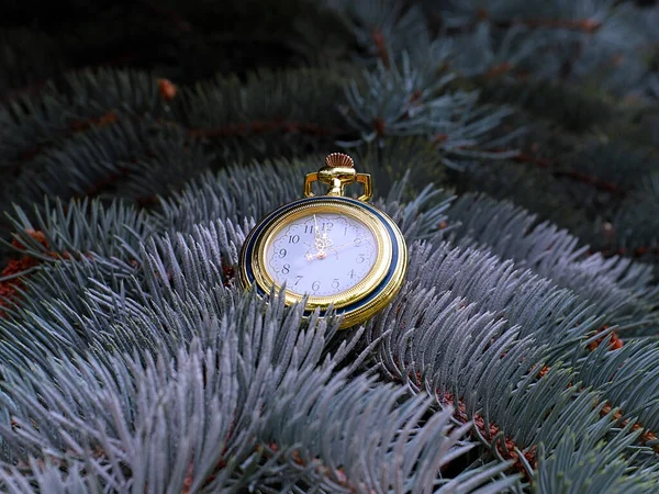 Vintage Orologio Antico Sui Rami Albero Natale — Foto Stock