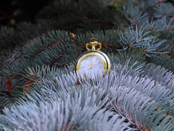 Oldtimer Antike Uhr Auf Ästen Weihnachtsbaum — Stockfoto