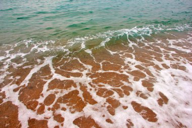 Açık deniz dalgaları ve kumlu sahil