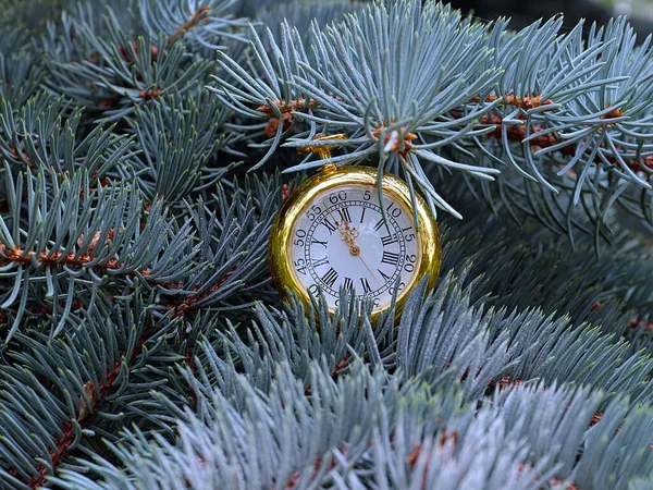 Reloj Vintage Colgando Una Rama Pino Navidad — Foto de Stock