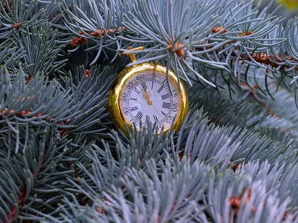 Relógio Vintage Pendurado Ramo Pinho Natal — Fotografia de Stock