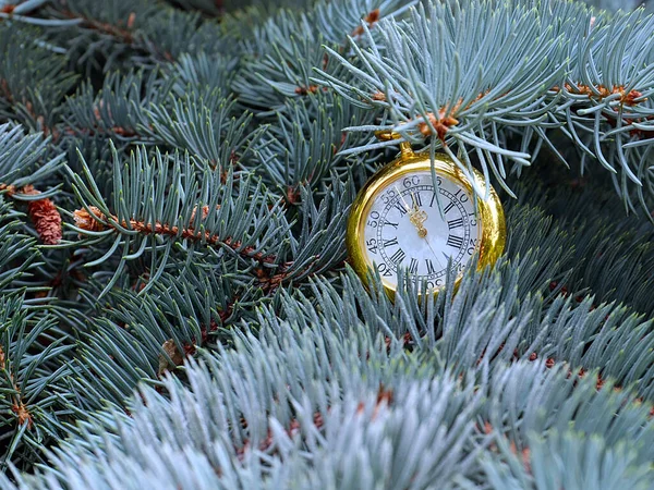Ρολόι Vintage Κρέμεται Ένα Κλαδί Του Πεύκου Των Χριστουγέννων — Φωτογραφία Αρχείου